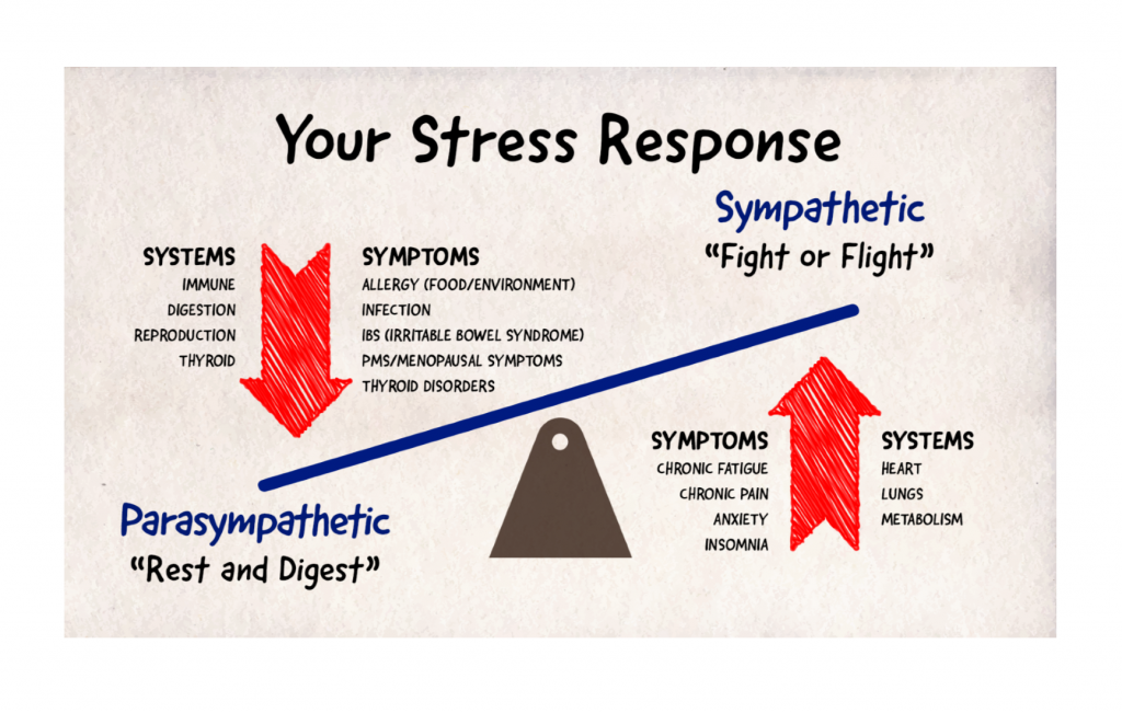 adrenal fatigue and your stress response