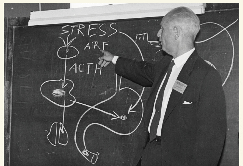 Hans Selye Outlines His Stress Disorder Theory