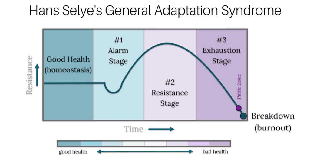 Demonstration of Hans Selye's General Adaptation Syndrome