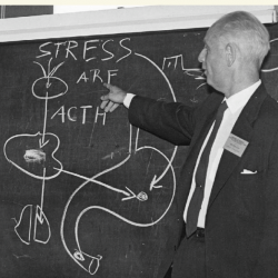 Hans Selye Outlines His Stress Disorder Theory